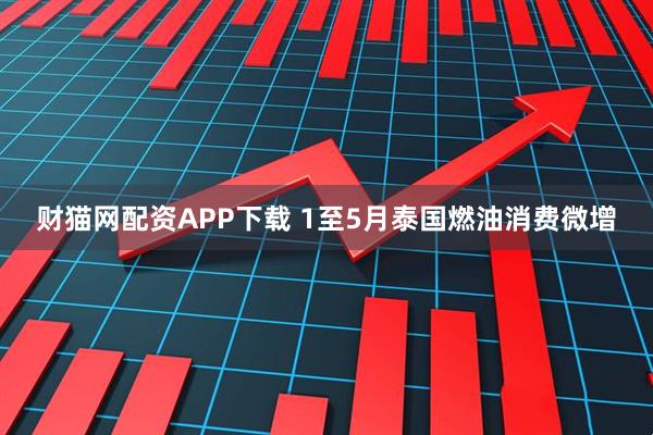 财猫网配资APP下载 1至5月泰国燃油消费微增