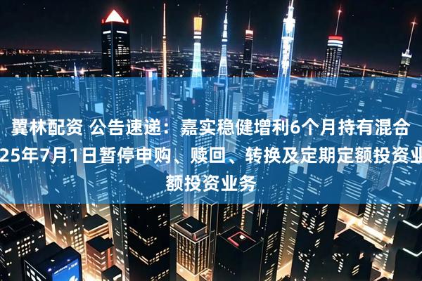 翼林配资 公告速递：嘉实稳健增利6个月持有混合2025年7月1日暂停申购、赎回、转换及定期定额投资业务