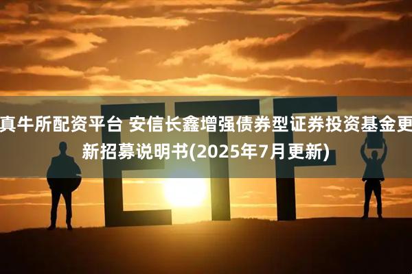 真牛所配资平台 安信长鑫增强债券型证券投资基金更新招募说明书(2025年7月更新)