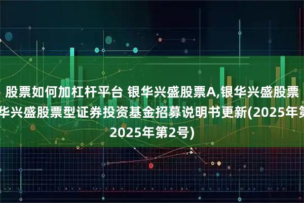 股票如何加杠杆平台 银华兴盛股票A,银华兴盛股票C: 银华兴盛股票型证券投资基金招募说明书更新(2025年第2号)
