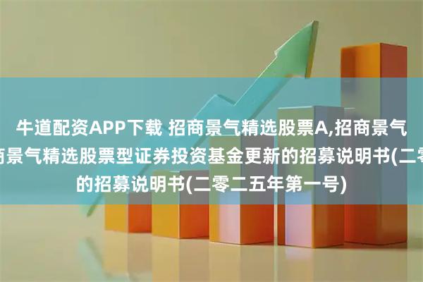 牛道配资APP下载 招商景气精选股票A,招商景气精选股票C: 招商景气精选股票型证券投资基金更新的招募说明书(二零二五年第一号)
